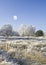 Moon and wintry countryside