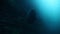 Moonfish Sunfish Mola mola in underwater marine life of Pacific Ocean.