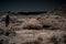Moonlight Desert Saguaros