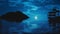 Moonlight Over Horizon Sea at Night while Sailboat goes to Deserted Island beautiful Bluish colors Peaceful Landmark Ocean Water S