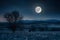 Moonlight reveals natures beauty in the dark sky