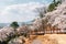 Moonlight Ssamji park cherry blossoms street in Miryang, Korea