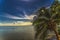 Moonlight Stars Clouds Night  Coconut Palm Trees Water Moorea Tahiti