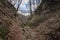 Moonlight valley in Pilis mountains