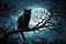 moonlit black cat silhouette