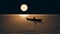 Moonlit Boat Ride: A Minimalistic Op Art Illustration