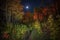 moonlit forest filled with autumn colors, and the sound of crickets in the background