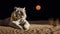 Moonlit Mirage: Ethereal Tiger in Sandy Dunes