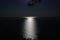 Moonlit Night at the Sea1