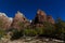 Moonlit Night in Zion