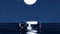 Moonlit Reflection Silver Chrome Cylinder Podium on Ocean