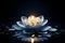 Moonlit white lotus flower shining brightly on dark blue water background in the serene night