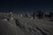 Moonlit winter night in Finnish taiga forest at Riisitunturi National Park