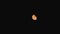 Moonrise in Dark Night Sky natural Background. video night nighttime timelapse. Yellow Moon