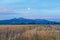 Moonrise over Canterbury Hills and farmland, New Zealand