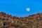 Moonrise over desert. Full moon, blue sky in background. Hill, Saguaro cactus in Foreground.