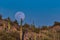 Moonrise over desert. Full moon, blue sky in background. Hill, Saguaro cactus in Foreground.