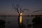 Moonrise over a lake with a bare tree silhouette