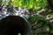 Moonville Tunnel, Vinton County, Ohio
