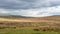 Moor landscape, Devon and Cornwall