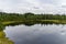 Moor marsh lake meadow forest sky