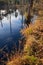 Moor pond with dead standing trees