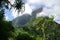 Moorea Jungle and Mountains