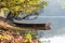 Moored rowing boat for fishing on the lake at the shore under the trees. Outdoor theme. Theme of vacation, holiday, leisure and re