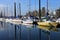 Moored sailboats, Portland Oregon.