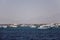 Moored white yachts waiting for tourists for sea trip. Vacation on Red Sea in Egypt, resort, leisure, adventure, travel.