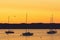 Moored yachts with seagulls at sunrise.