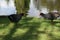 Moorhen confrontations