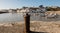 mooring cock in the port of of Ciboure in New Aquitaine