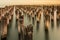 Mooring poles at sunset at Princes Pier