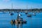 Mooring Raft Sailboats Padanaram Harbor Dartmouth Massachusetts
