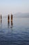 Mooring rusty piles in the port