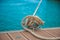 Mooring yacht rope with a knotted end tied around a cleat on a wooden pier