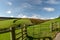 Moorland above Doone Valley, Exmoor, North Devon