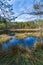 Moorland in the austrian region waldviertel