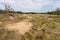 Moorland and forest on the Loonse and Drunense sand dunes