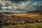 Moorland or Moor, Wuthering Heights, Heather Fields and Hills, Castle on Mountains, Copy Space