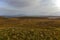 Moorland near Point of Stoer, Assynt, Sutherland, Scottish Highlands