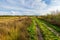 Moorland, peat moss landscape at national park de Groote Peel, Limburg, the Netherlands. High dynamic range, HDR