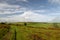 Moorland on Selworthy Beacon, Exmoor, North Devon