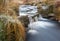 Moorland stream on icy morning