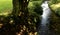 Moorland stream with sunlight through foliage, leaves and branches