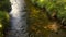 Moorland stream with sunlight through foliage, leaves and branches