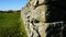 Moorland views, Bodmin Moor, Cornwall