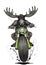 Moose-biker