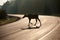 Moose crossing highway in early morning